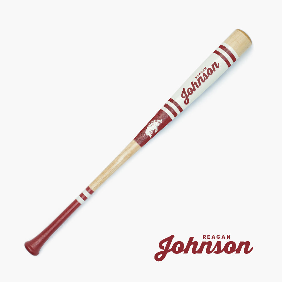 Reagan Johnson University of Arkansas Softball